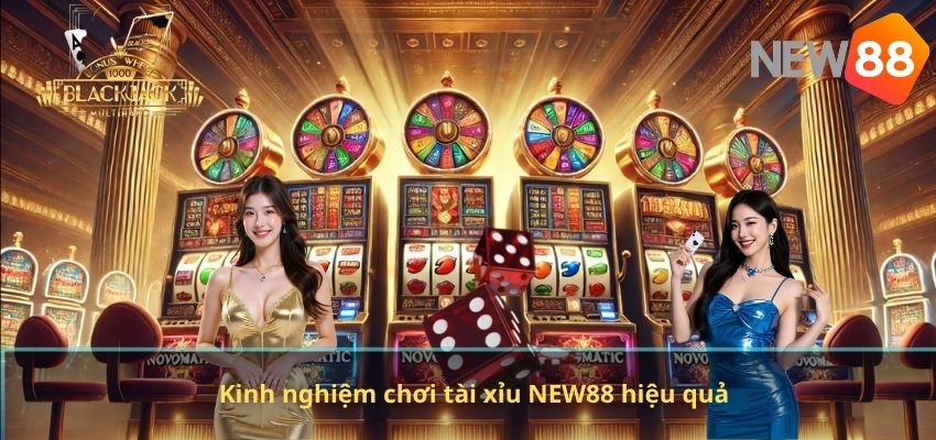 Kinh nghiệm chơi tài xỉu NEW88 hiệu quả